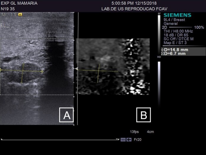 Evaluation of ARFI elastography for detecting active mastitis in sheep with previous fibrous lesions: a study of mammary parenchyma and supramammary lymph nodes.