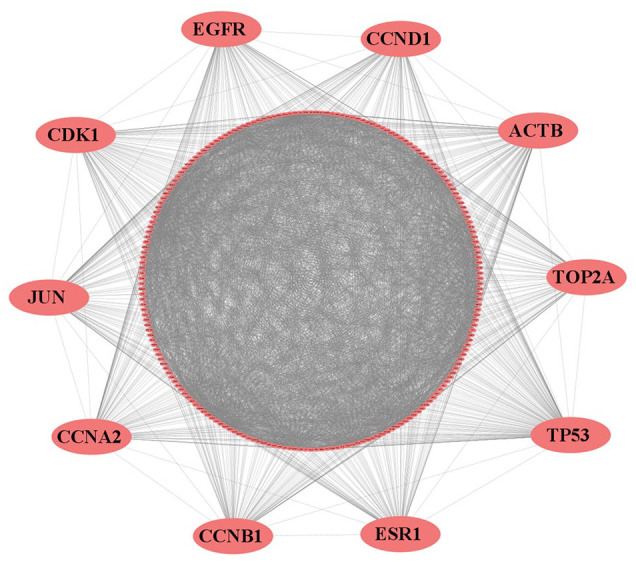 Identification of Hub of the Hub-Genes From Different Individual Studies for Early Diagnosis, Prognosis, and Therapies of Breast Cancer.