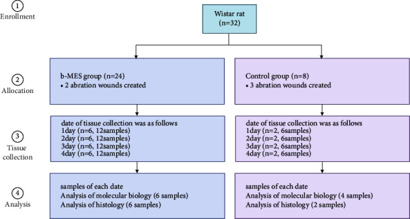 Molecular Biological Verification of the Healing Effect of Biphasic Microcurrent Electrical Stimulation in Model Rats of Skin Abrasion.