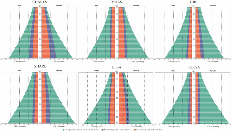 Gender disparities in multi-state health transitions and life expectancy among the ≥50-year-old population: A cross-national multi-cohort study.