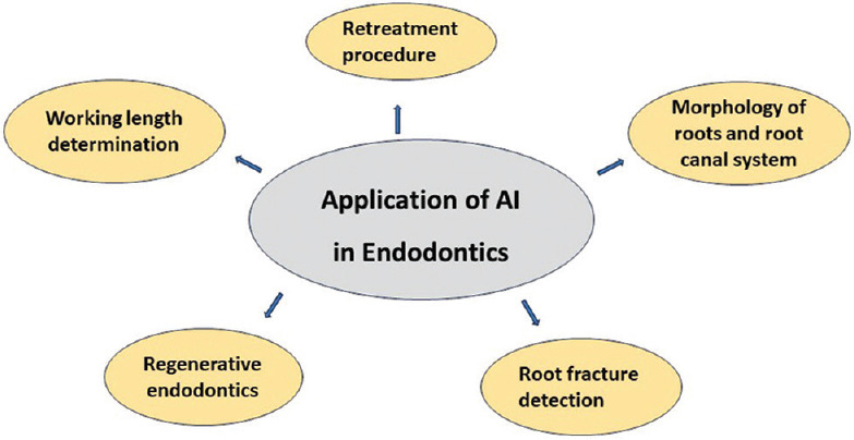 Impact of Artificial Intelligence in Endodontics: Precision, Predictions, and Prospects.