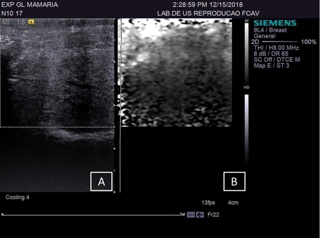 Evaluation of ARFI elastography for detecting active mastitis in sheep with previous fibrous lesions: a study of mammary parenchyma and supramammary lymph nodes.