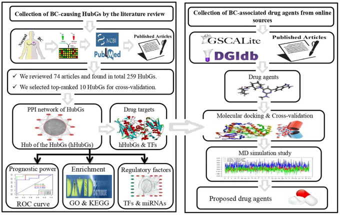 Identification of Hub of the Hub-Genes From Different Individual Studies for Early Diagnosis, Prognosis, and Therapies of Breast Cancer.