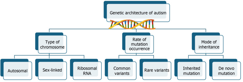 Decoding the genetic landscape of autism: A comprehensive review.