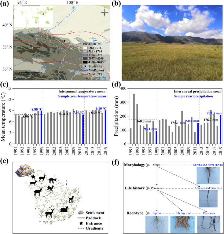 Grazing management can achieve the reconfiguration of vegetation to combat climate impacts and promote soil carbon sequestration.
