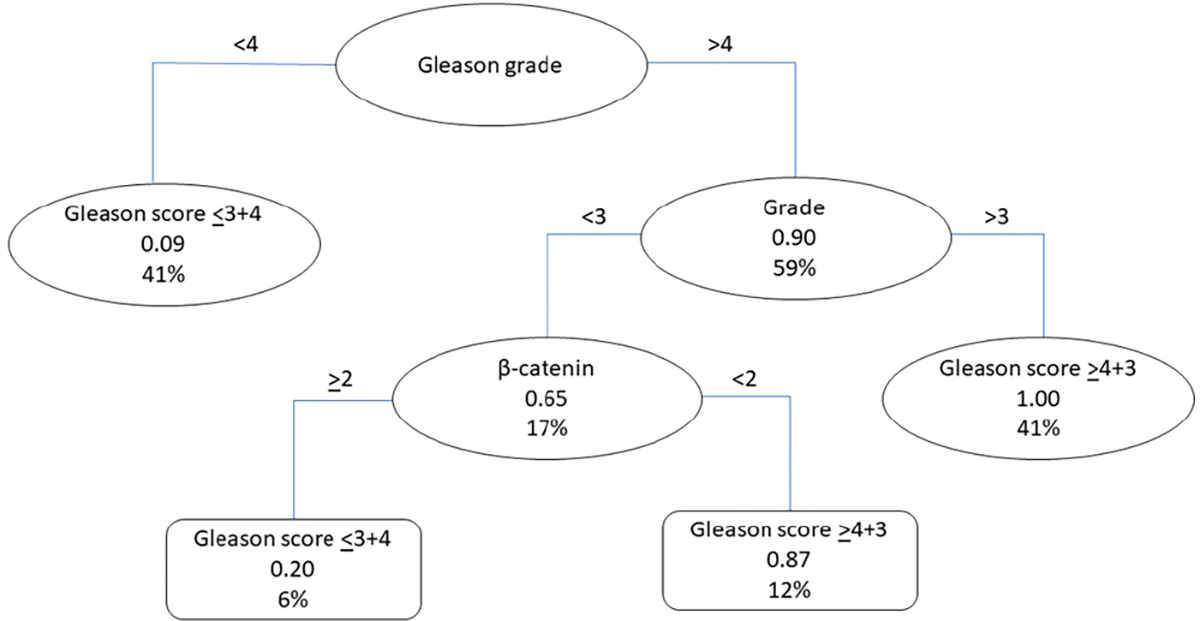 Integrating Proteomic Analysis and Machine Learning to Predict Prostate Cancer Aggressiveness.
