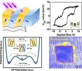 Multi-step switchable superdomain architecture with enhanced photoelectrical performance in epitaxial ferroelectrics