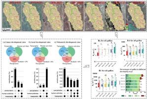 Quantifying the contributions of precipitation, topography and human activity and their coupling to the development of permanent gully