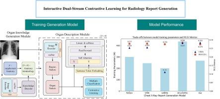 Interactive dual-stream contrastive learning for radiology report generation