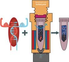 Turbolysis: A low-cost, small footprint alternative to commercial bead beaters for cell lysis