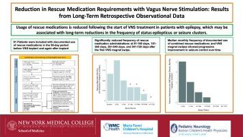 Association of reductions in rescue medication requirements with vagus nerve stimulation: Results of long-term community collected data from a seizure diary app