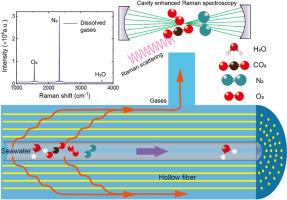 Rapid and real-time analysis of multi-component dissolved gas in seawater by Raman spectroscopy combined with continuous gas−liquid separator