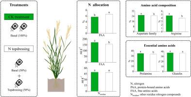 Nitrogen topdressing at panicle initiation modulated nitrogen allocation between storage proteins and free nitrogenous compounds in grains of japonica rice