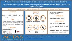 Why do patients with urinary diversions have an increased risk of bone fracture? A systematic review on risk factors for osteoporosis and bone mineral density loss in this group of patients