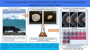 Antarctic Streptomyces: Promising biocontrol agents for combating Fusarium oxysporum f. sp. cubense