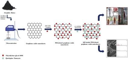 Design of quetiapine fumarate loaded polyethylene glycol decorated graphene oxide nanosheets: In vitro-ex vivo characterization