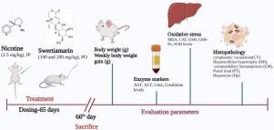 Protective effect of Enicostemma axillare - Swertiamarin on oxidative stress against nicotine-induced liver damage in SD rats