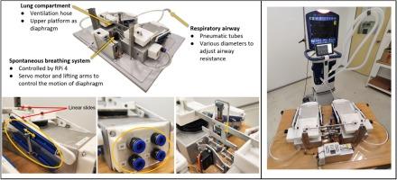 CARETestLung: A mechanical test lung with Configurable airway Resistance, lung Elastance, and breathing efforts