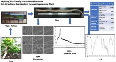 Exploring eco-friendly pseudo stem fiber from the agricultural byproducts of the Alpinia purpurata plant