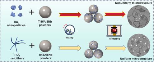 TiO2 nanofiber-derived in-situ Al2O3 particles reinforced TiAl matrix composites