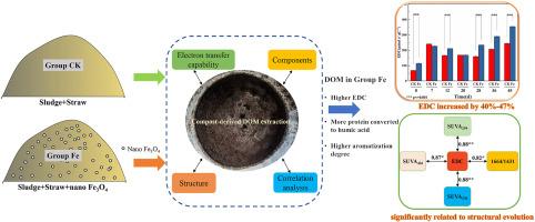 Nano Fe3O4 improved the electron donating capacity of dissolved organic matter during sludge composting