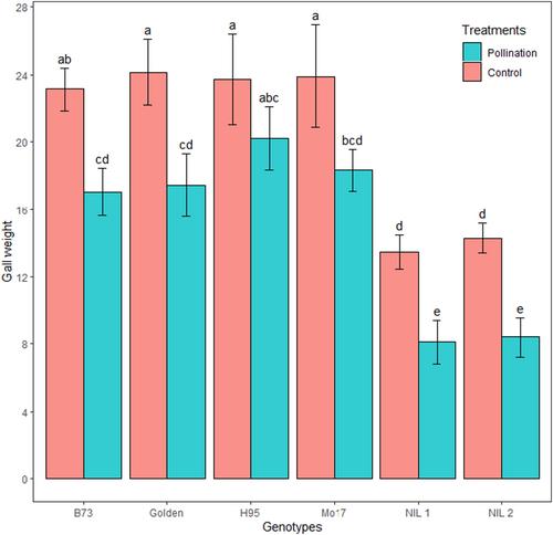 Effects of pollination and plant genotype on Ustilago maydis disease development on the ears of maize inbreds and maize-teosinte near-isogenic lines