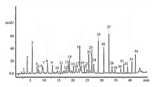 Calamintha incana Methanolic Extract: Investigation of Phytochemical Composition and Antioxidant and Antibacterial Activities