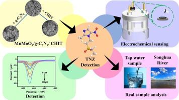 Ultrasonically assisted fabrication of electrochemical platform for tinidazole detection