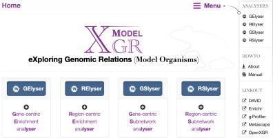 XGRm: A Web Server for Interpreting Mouse Summary-level Genomic Data