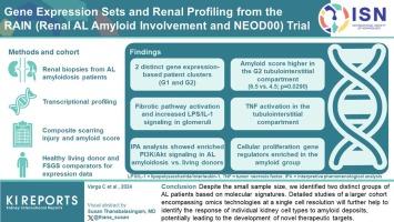 Gene Expression Sets and Renal Profiling from the Renal AL Amyloid Involvement and NEOD00 (RAIN) Trial