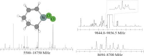 Rotational spectroscopy and structure of 1,1-dichloro-1-silacyclohex-2-ene