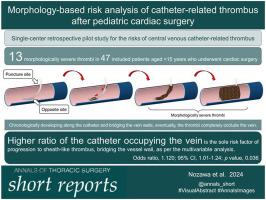 Morphology-Based Risk Analysis of Catheter-related Thrombus After Pediatric Cardiac Surgery