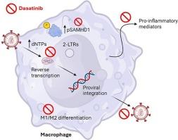 Dasatinib interferes with HIV-1 proviral integration and the inflammatory potential of monocyte-derived macrophages from people with HIV