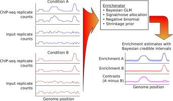 Enricherator: A Bayesian Method for Inferring Regularized Genome-wide Enrichments from Sequencing Count Data