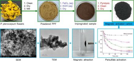 Facile preparation of magnetic activated carbon from Peltophorum pterocarpum flowers for persulfate activation in methyl orange treatment