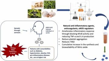 Potential use of plant-based therapeutics for the management of SARS-COV2 infection in diabetes mellitus – a review