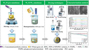 Improved viability of probiotics by co-encapsulation of wheat germ oil under storage and gastrointestinal conditions: Effects of drying methods and wall composition