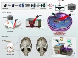 A Chemotherapy-Photothermal synergistic system in bifunctional bone Scaffold: Tumor therapy and bone repair