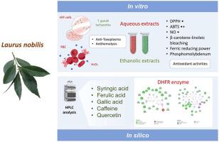 Pharmacological insights into Laurus nobilis: HPLC profiling and evaluation of its anti-Toxoplasma, antioxidant, and anti-hemolytic properties