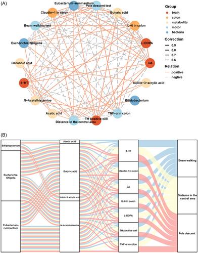 Exploring the therapeutic potential of Bifidobacterium longum subsp. longum CCFM1029 in Parkinson's disease: Insights from behavioral, neurophysiological, gut microbiota, and microbial metabolites analysis