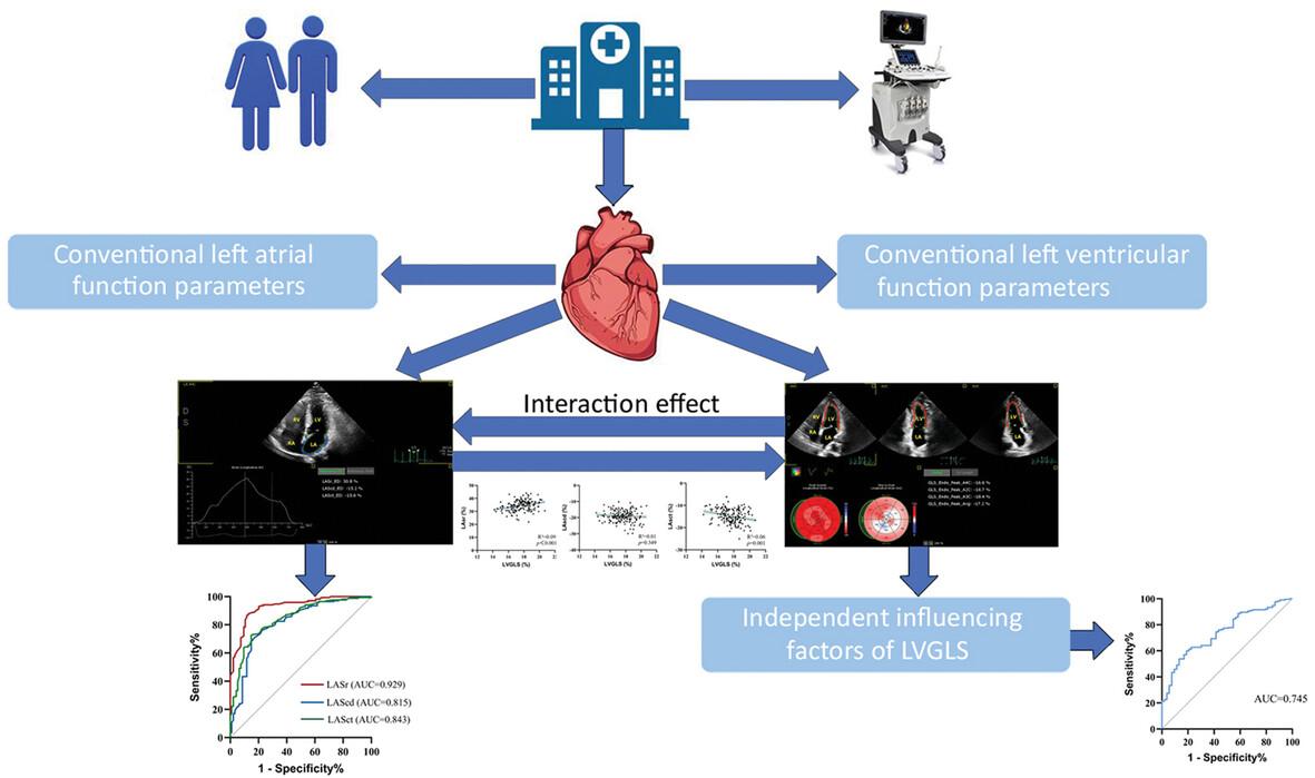 Is cardiac function associated with the clinical course of disease in patients with gout? A prospective study