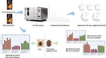 Toxicity and enzymatic mechanism of Citrus spp. essential oils and major constituents on Haemaphysalis longicornis (Acari: Ixodidae) and non-target Harmonia axyridis (Coleoptera: Coccinellidae)