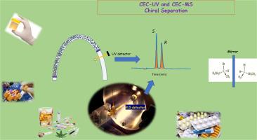 Capillary electrochromatography applied to the separation of enantiomers utilizing packed capillary columns with silica-vancomycin. A tutorial