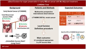 Resección local exclusiva sin tratamiento adyuvante como estrategia de preservación de órgano en cáncer de recto precoz: protocolo de estudio observacional prospectivo