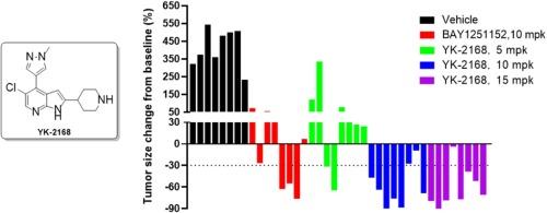 Discovery and preclinical profile of YK-2168, a differentiated selective CDK9 inhibitor in clinical development