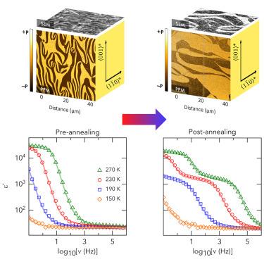 Post-synthesis tuning of dielectric constant via ferroelectric domain wall engineering