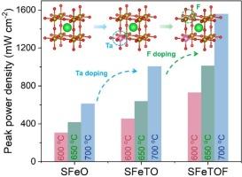 Tailoring SrFeO3 cathode with Ta and F allows high performance for proton-conducting solid oxide fuel cells