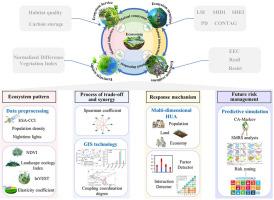 Trade-offs and synergies pattern evolution of ecosystem structure-resilience-activity-services (SRAS) in the Belt and Road Initiative region