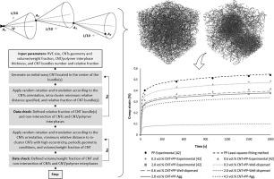 Evaluating the role of agglomerated carbon nanotubes in the effective properties of polymer nanocomposites: An efficient micromechanics-based finite element framework