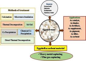 Exploring the chemistry of waste eggshells and its diverse applications